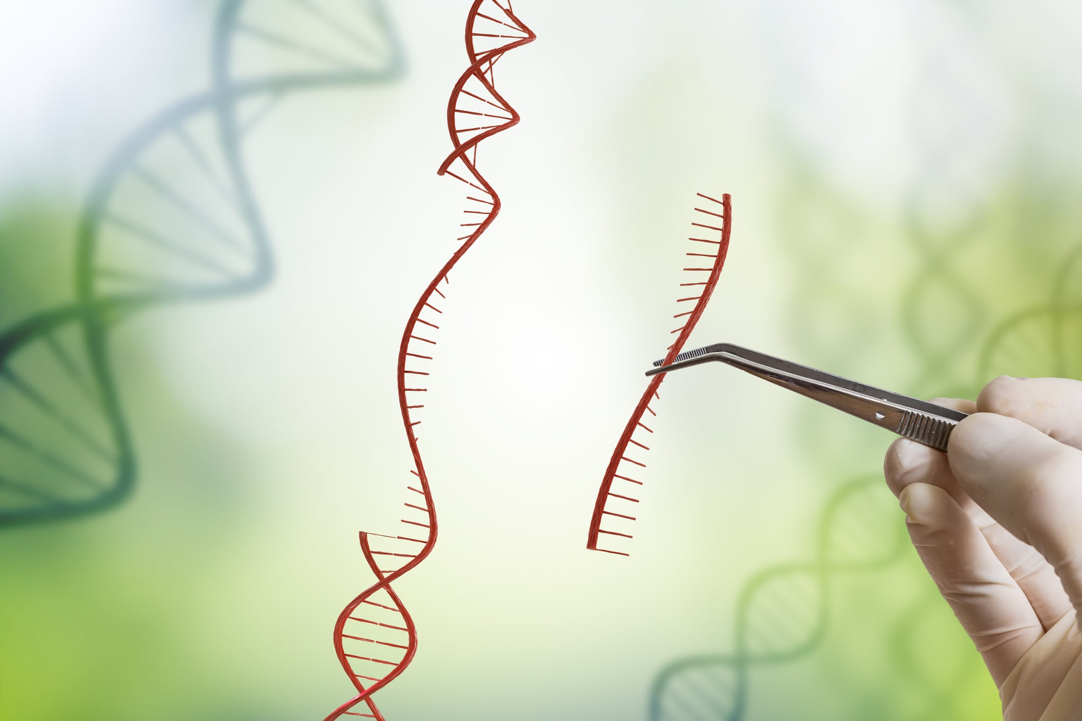Intellia’s Lonvo-z Becomes First In Vivo CRISPR Therapy to Reach FDA Doorstep