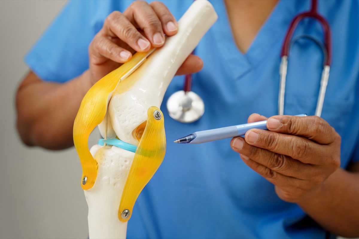 Doctor showing knee model