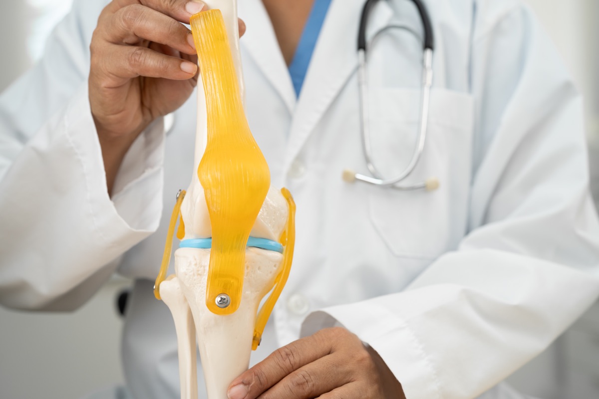 Doctor explaining knee model to patient